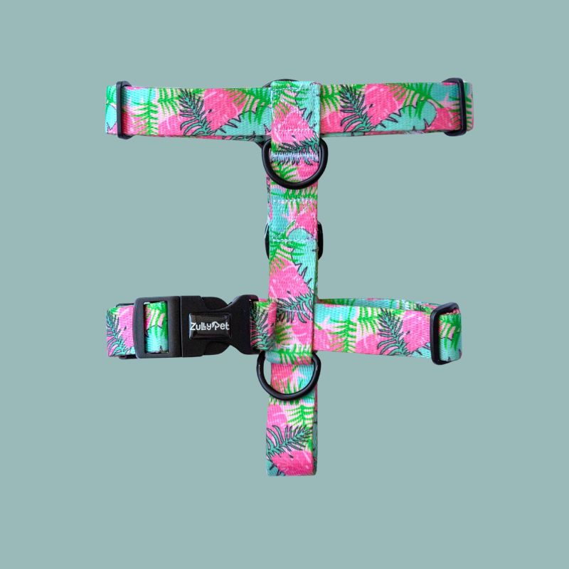 Arnés en H Island Infusion