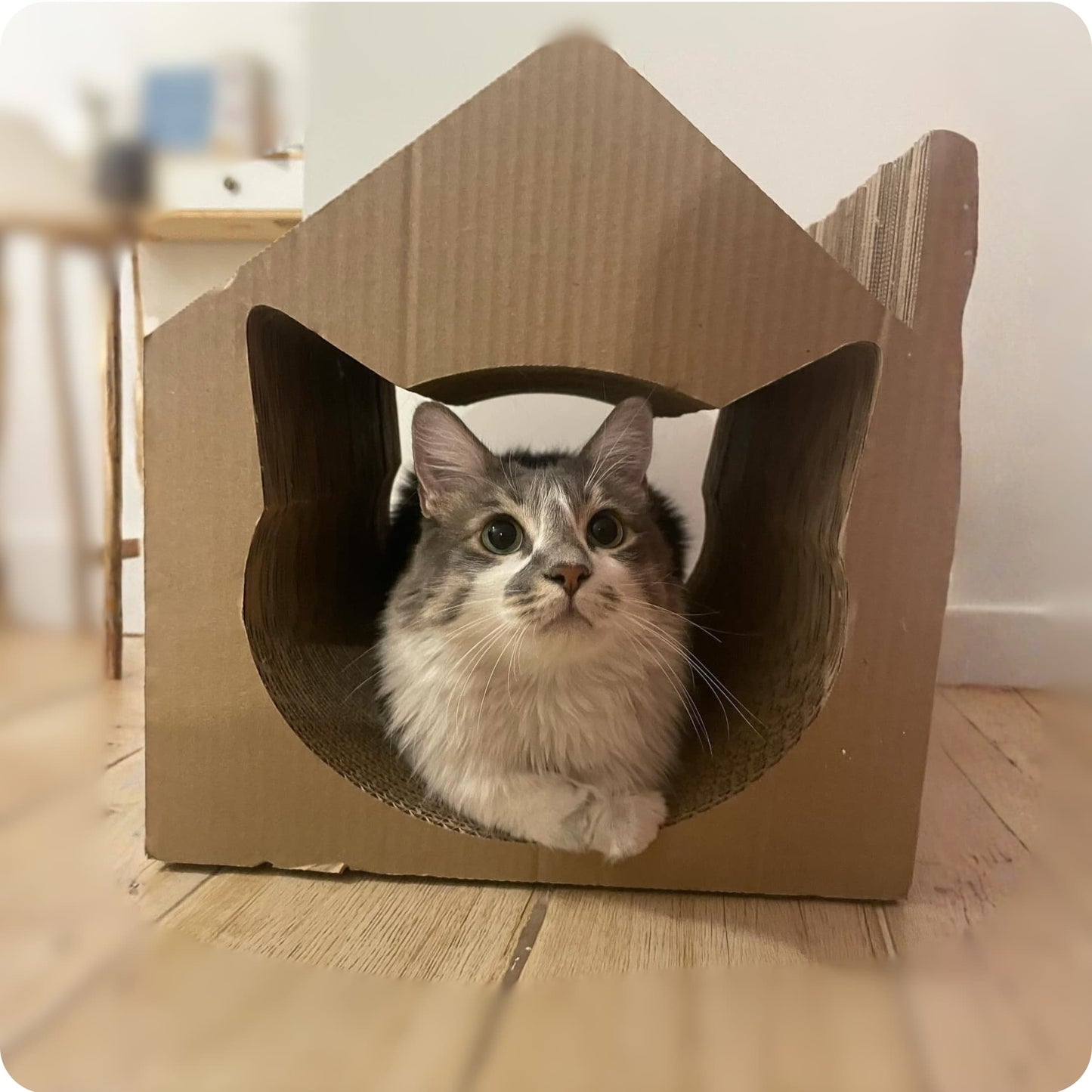 Rascador Tunel para Gatos Cartopuzzle | Cartón Corrugado de Alta Densidad