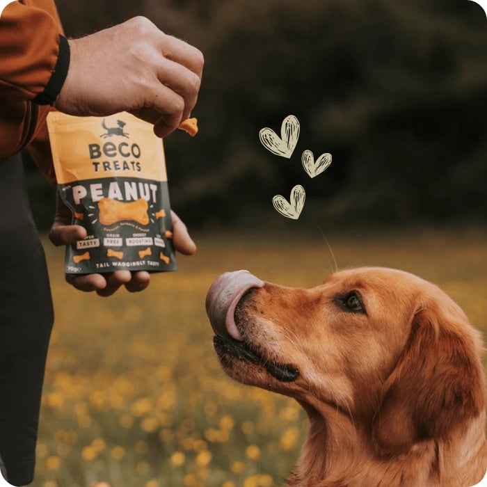 Beco treats - Peanut - Maní
