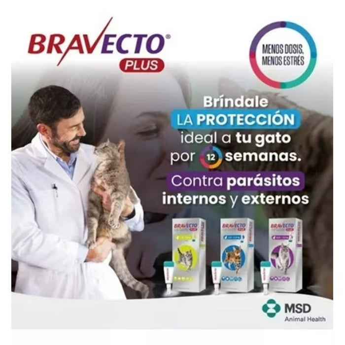 Bravecto Plus Gato