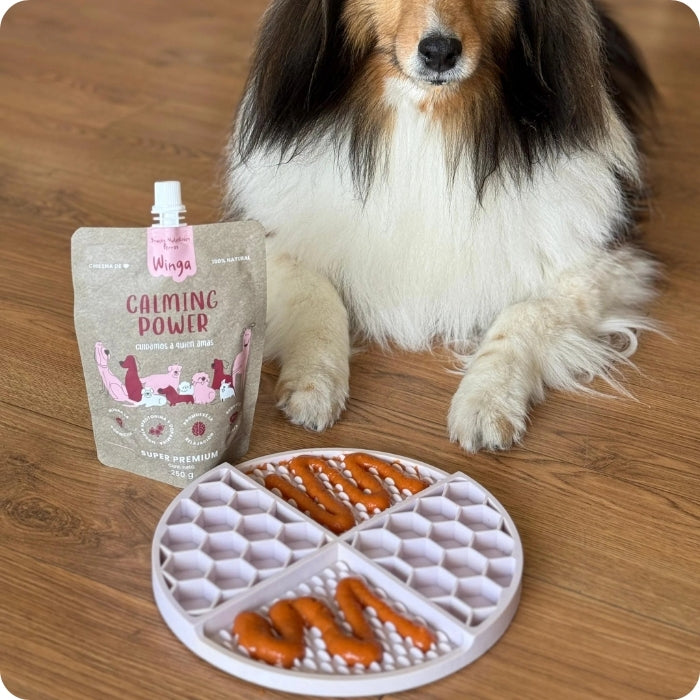Perro adulto consumiendo suplemento alimenticio natural para perros Calming Power Winga