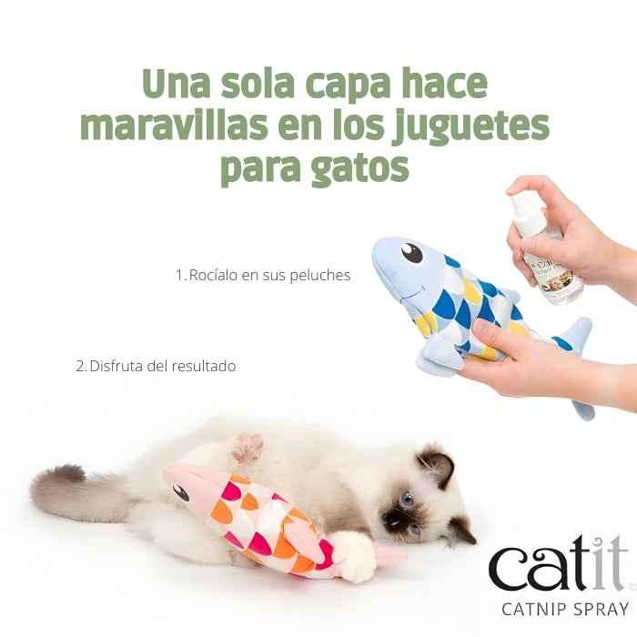 Catnip en spray 90ml para gatos | Catit