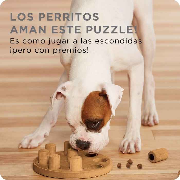Dog Smart Composite Nivel 1