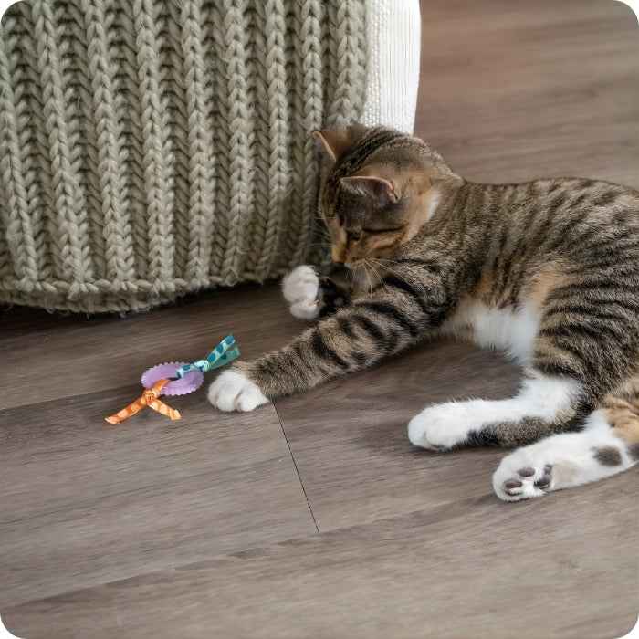 Kitty Chew Wheel | Mordedor para gatos | Catstages