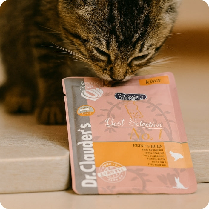 Gatito olorosando Dr Clauder's Best Selectrion N01 Kitten Pollo