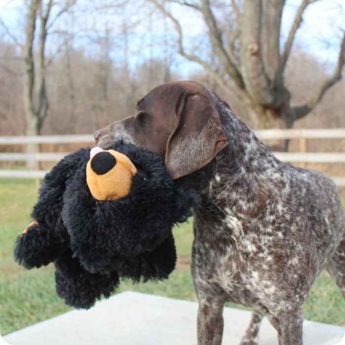 Juguete interactivo para perros – Peluche sin relleno Oso Tall Tails