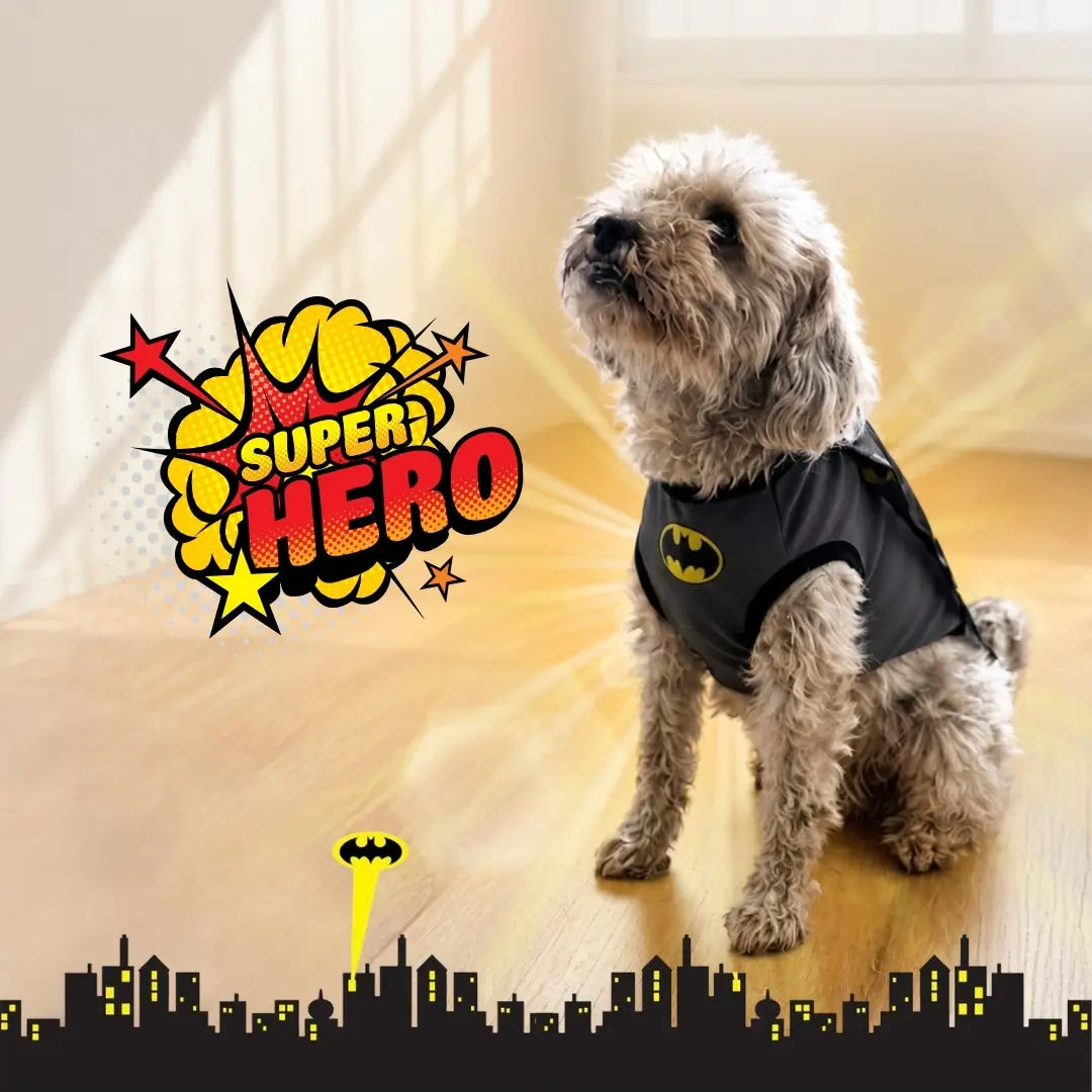 Disfraz de Batman para perros y gatos | Confección Nacional