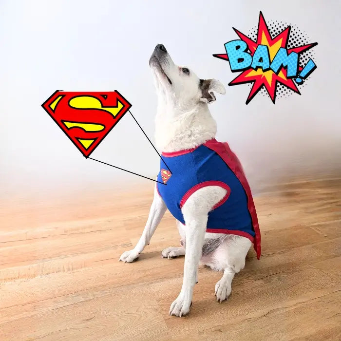 Disfraz de Superman para perros y gatos | Confección Nacional