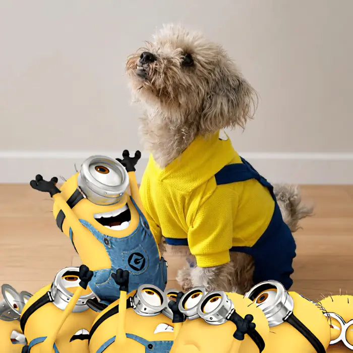Disfraz de Minion para perros y gatos | Confección Nacional