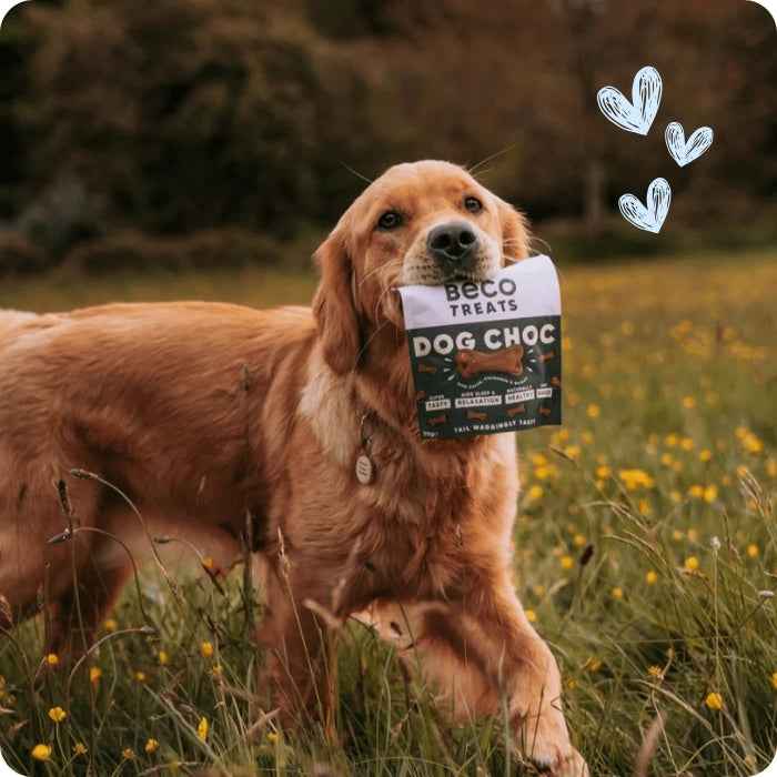 Beco treats - Dog Choc - Algarroba