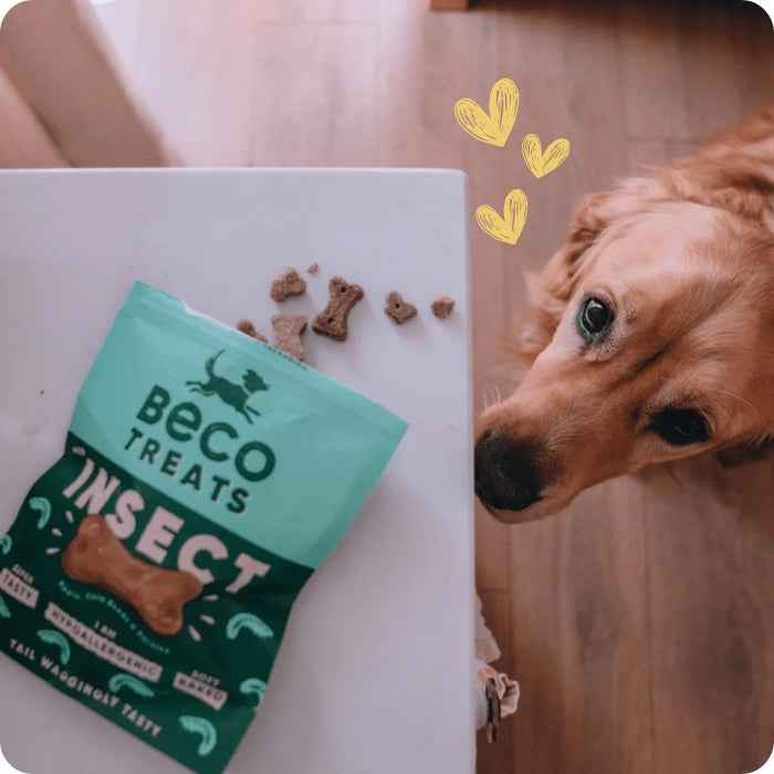 Beco treats - Insect - Insecto