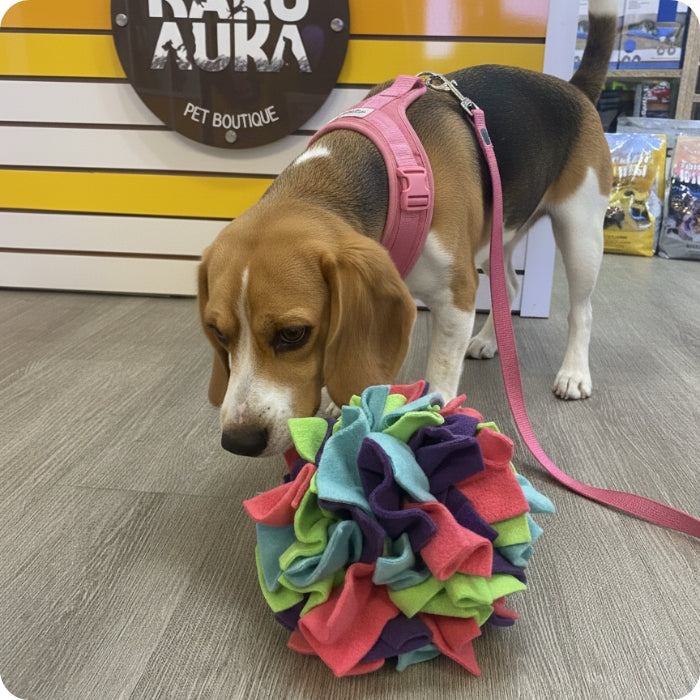 Perrito usando Pelota olfativa para perros Pompón de Jao Toys