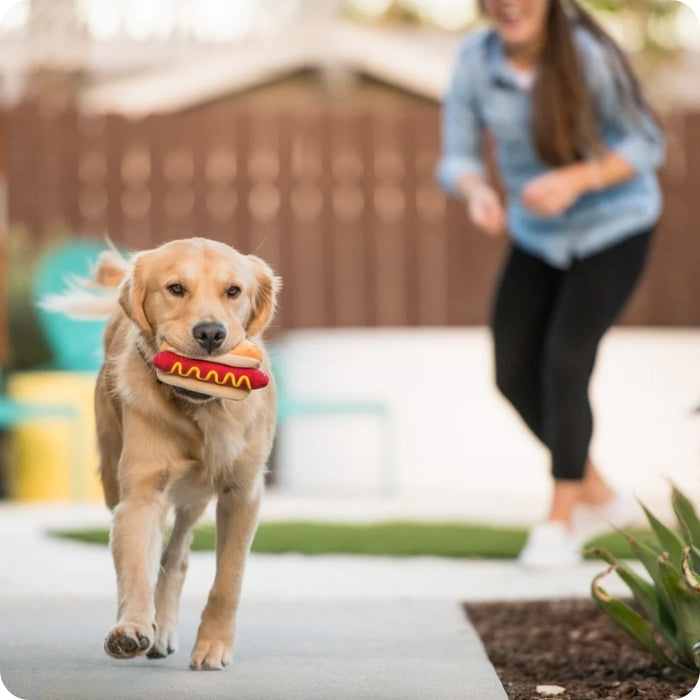 Perro jugando con peluche sensorial Hot Diggy Dog de P.L.A.Y
