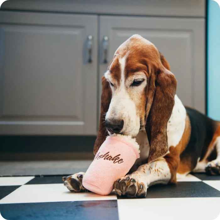 Mutts Milkshake peluche P.L.A.Y