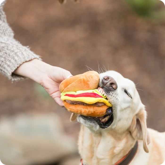 Barky Burger peluche P.L.A.Y