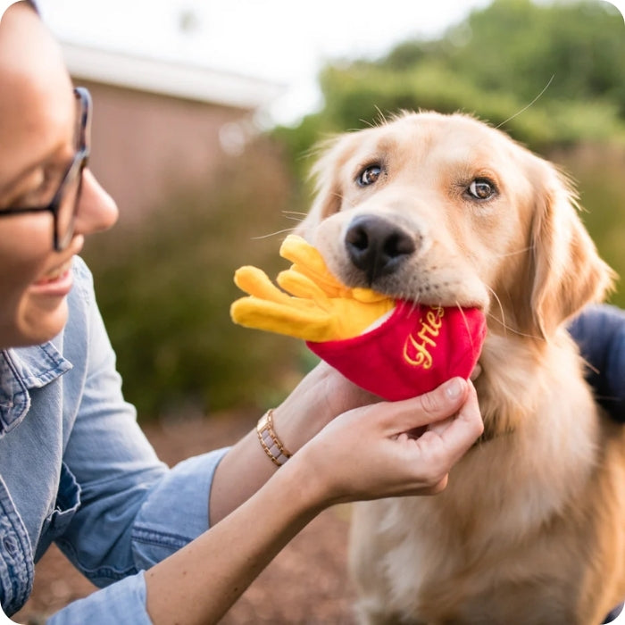 Frenchie Fries peluche P.L.A.Y