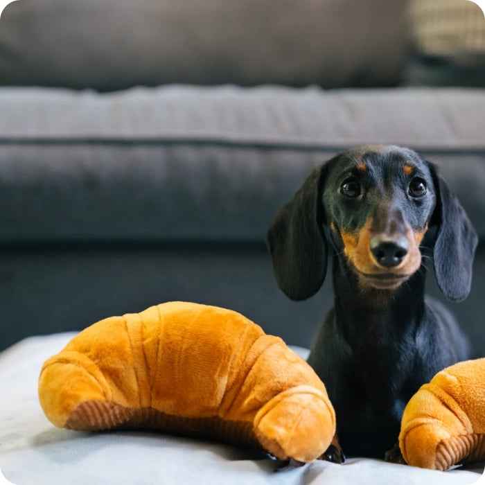 Pup's Pastry peluche P.L.A.Y