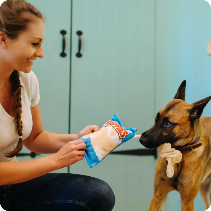 Perro tironeando juguete sensorial para perros Fluffles Chips