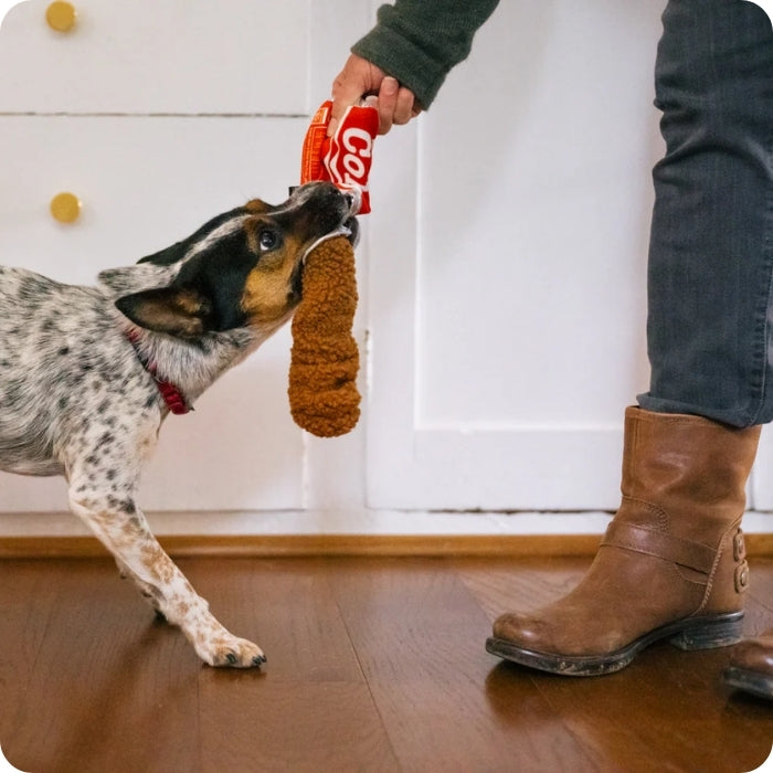 Perro tironeando peluche sensorial para perros Good Boy Cola