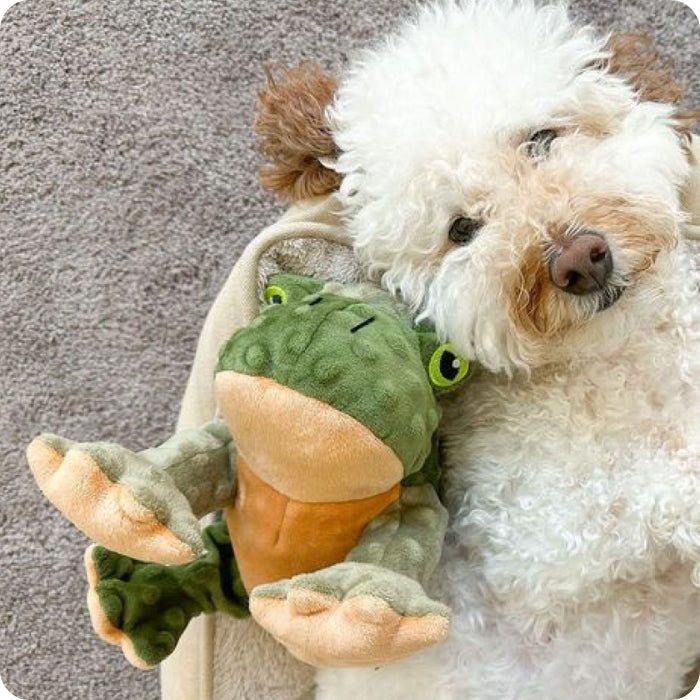 Perro acurrucado con peluche sensorial animado para perros Tall Tails Rana