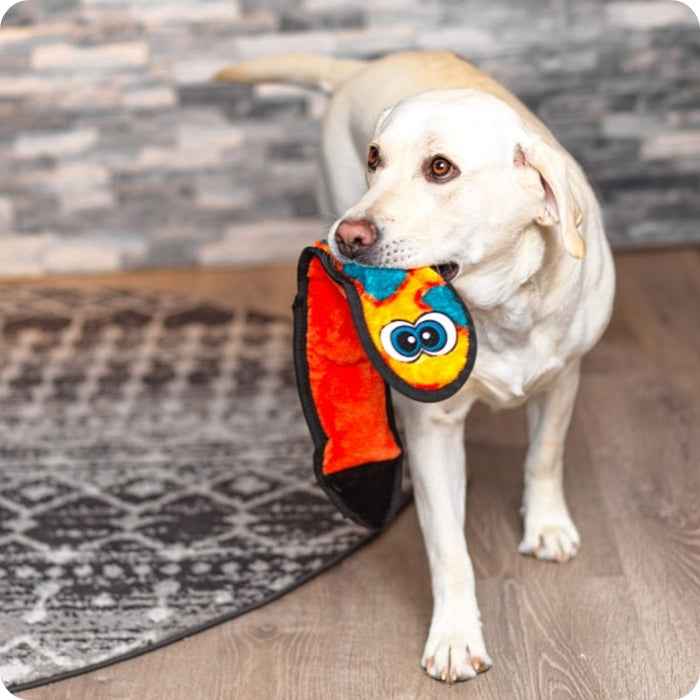 Serpiente L Durablez Outward Hound