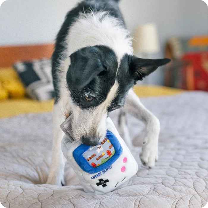 Game Bone peluche P.L.A.Y
