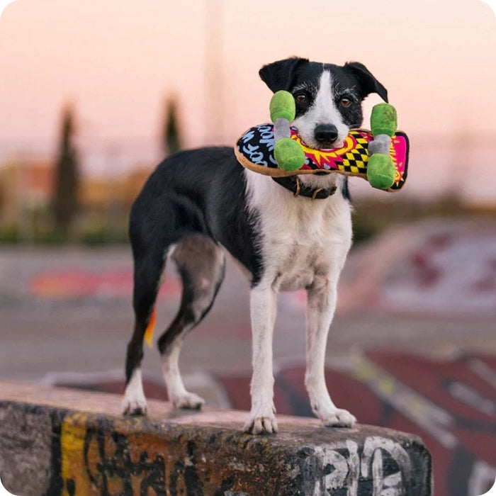 Perrito mordiendo Peluche sensorial para perros Kickflippin K9 de P.L.A.Y en un Skate Park