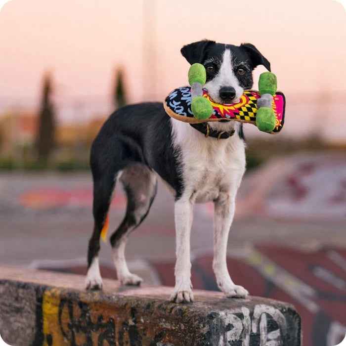Skate Kickflippin' K9 peluche P.L.A.Y