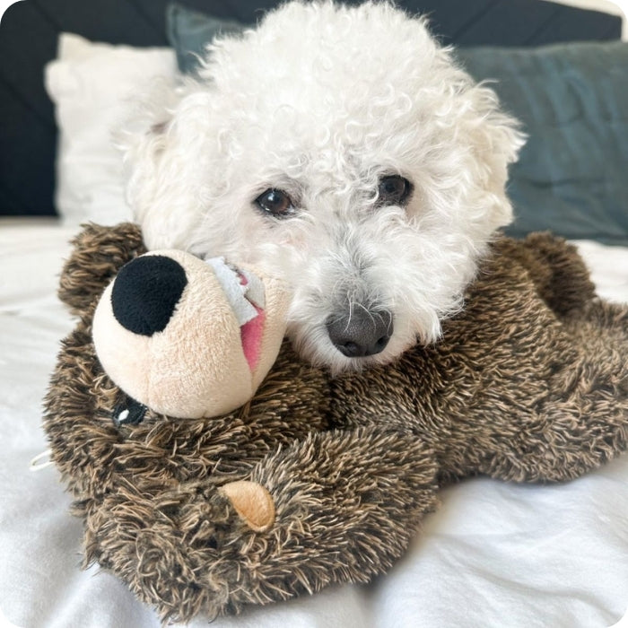Perro talla media jugando con peluche sensorial Oso Grizzly de Tall Tails