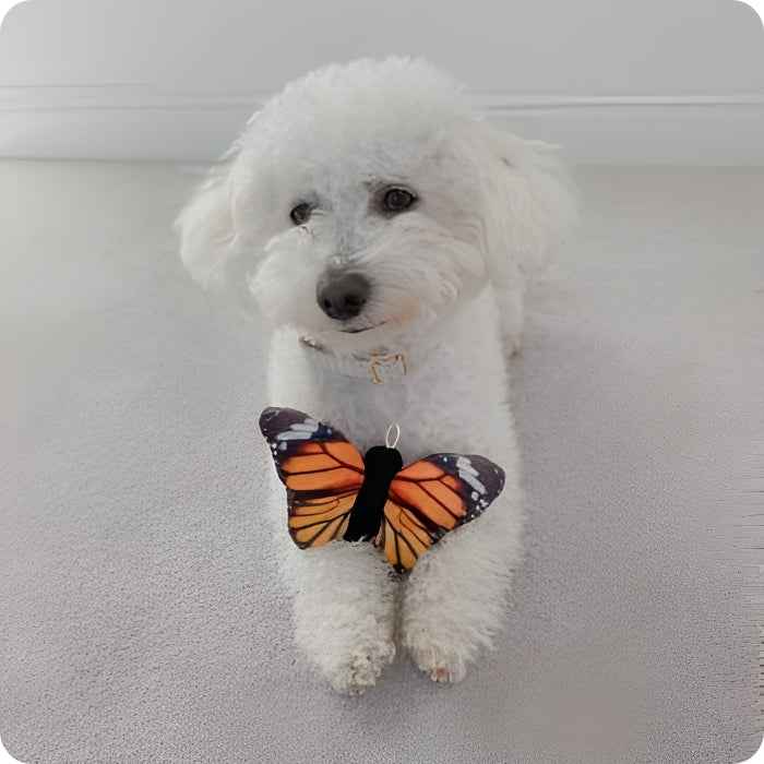Peluche Mariposa 10 cm - Tall Tails