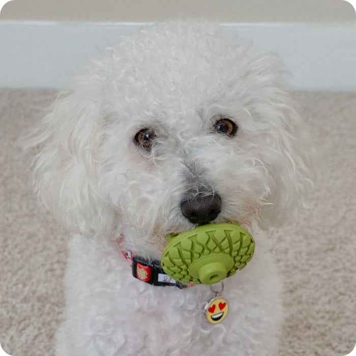 Juguete calmante para perros – Juguete rellenable para ocupación prolongada