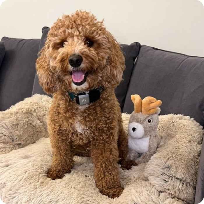 Jackalope - Peluche animado - Tall Tails