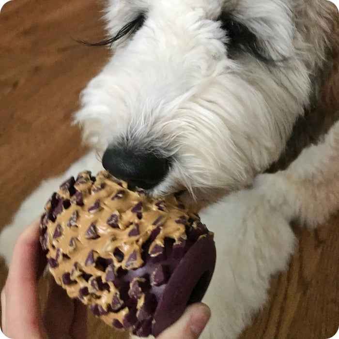 Juguete calmante para perros – Juguete rellenable Piña Tall Tails