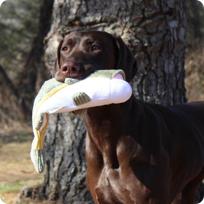 Perro talla grande mordiendo peluche sensorial animado para perros Lubina de Tall Tails