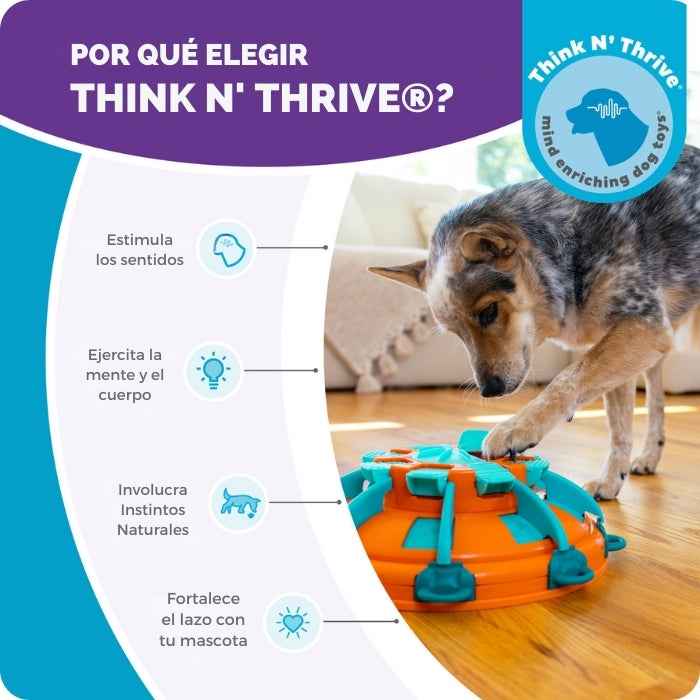 Tower of treats | Puzzle para perros Nivel 4 | Nina Ottosson