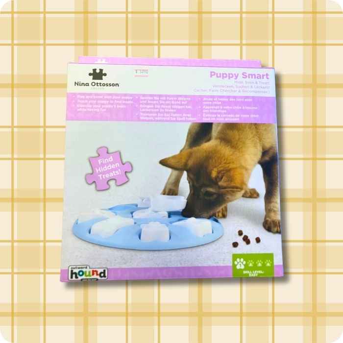 Dog Smart Nivel 1 azul