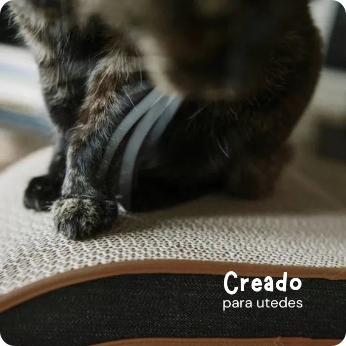 Rascador de lujo para Gatos Arty 2 Piezas P.L.A.Y. Dark Chocolate