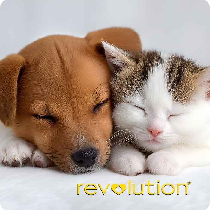 Revolution para perritos y gatitos hasta 2,5 Kg