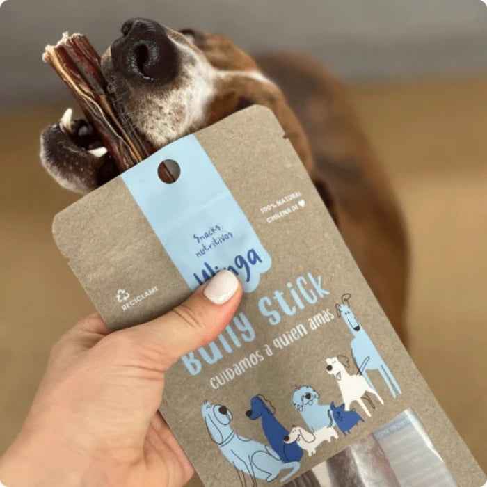Bully stick de vacuno Winga