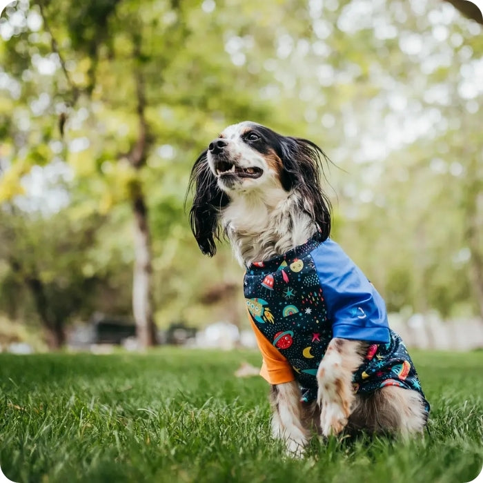 Polera con filtro solar UV para perros y gatos ZullyPet