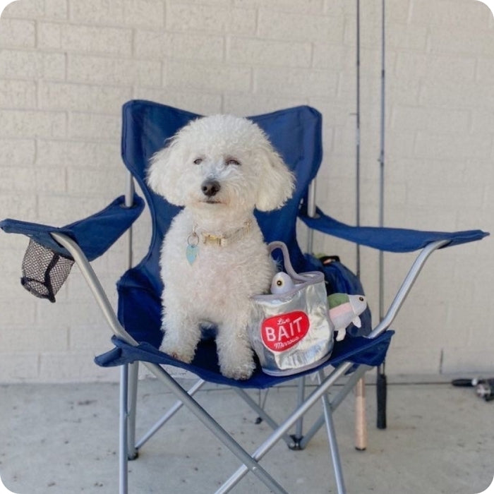 Perro mediano junto a peluche sensorial cognitivo para perros Tall Tails Balde de Carnada