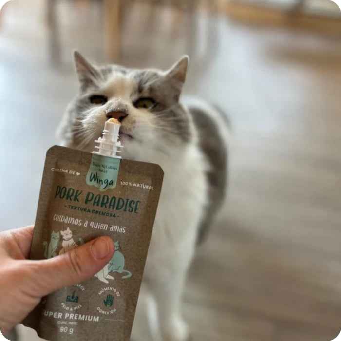 Pork Paradise Winga para gatos