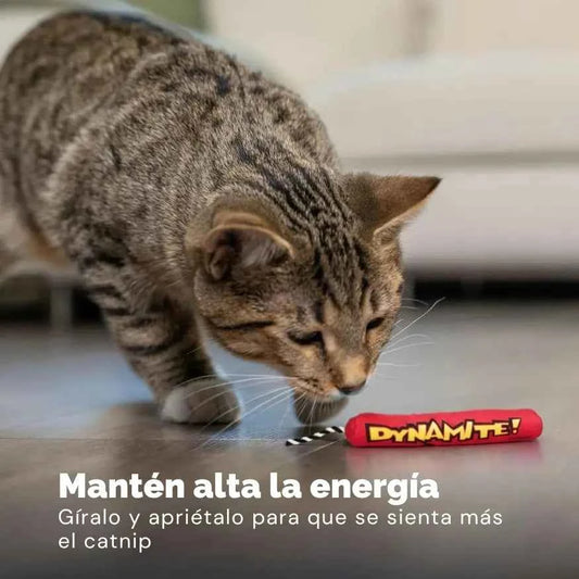 Juguete con Catnip para Gatos Catstages Magic Dynamite