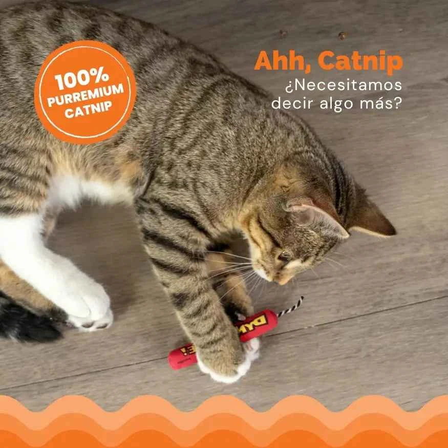 Juguete con Catnip para Gatos Catstages Magic Dynamite