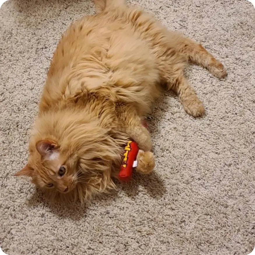 Juguete con Catnip para Gatos Catstages Magic Dynamite