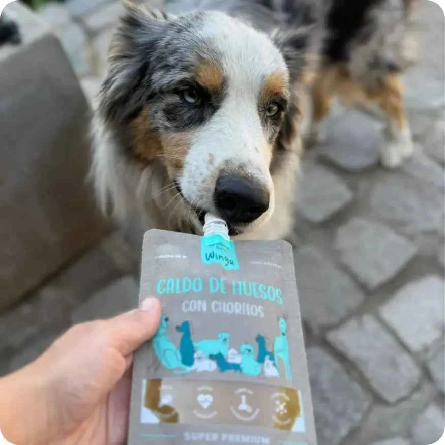 Caldo de Huesos para Perros Winga con Chorito Mytilus 250ml