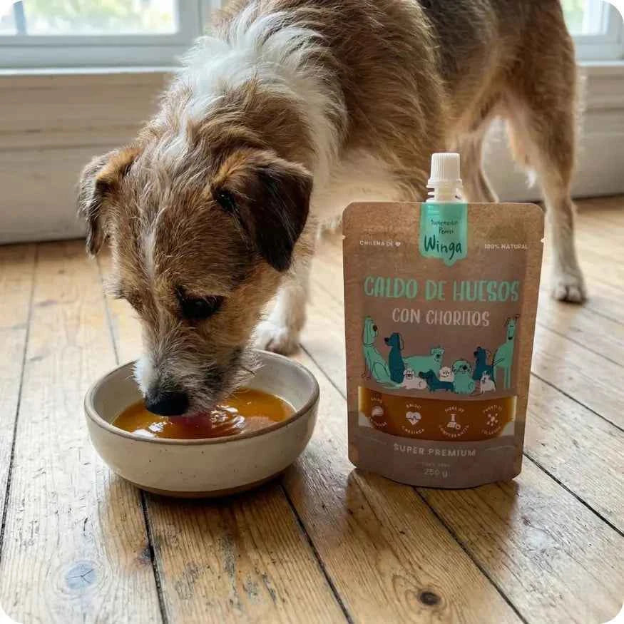 Caldo de Huesos para Perros Winga con Chorito Mytilus 250ml