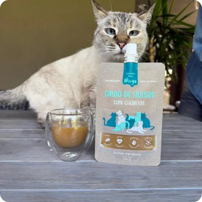 Caldo de Huesos Winga Gatos | Hidratación y Salud 180ml