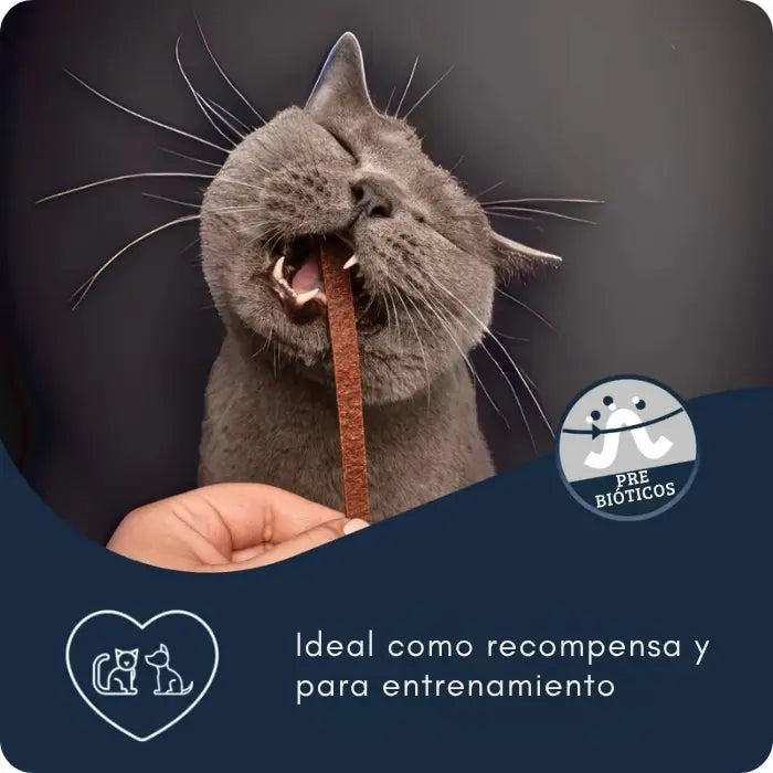 Stripes Snacks Pork | Tiras de cerdo premium Alemanas