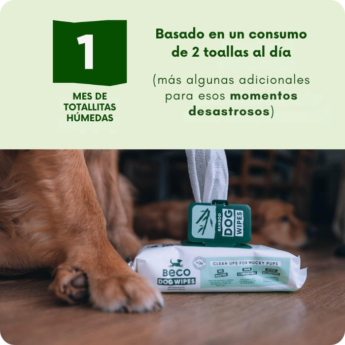 1 mes de toallitas húmedas Beco